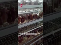 Système de la meilleure qualité et de luxe d'entrepôt du Nigéria de volaille de batterie de cage pour des poulets Sandy de couche