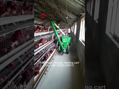 Système de traitement d'alimentation de ferme avicole 220v, iris adapté aux besoins du client de chariot à alimentation de volaille