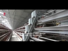 Un type équipement complètement automatique de cage de poulet pour la ferme avicole Sandy de 20 000 capacités