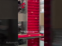 Type automatique de la collection A d'oeufs de couche cage de poulet pour la ferme avicole Rose