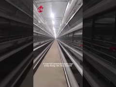 Type équipement automatique moderne Emily de H de cage de poulet de 25000 oiseaux