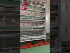 Cage 2.40m* 2.60m* 2.0m Rose de poulet de rangée de l'équipement de ferme avicole de couche 4