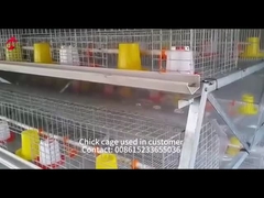 Longueur automatique galvanisée à chaud Mia des oiseaux 1.2m de Chick Brooder Cage 192 de bébé de poulette