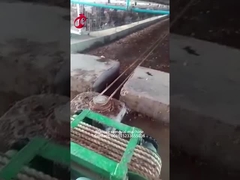 Machine Mia d'enlèvement d'engrais d'utilisation de ferme de poulet de 5 000 oiseaux