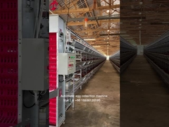 Projet clé en main Système de cage à batterie automatique de volaille 3 niveaux 450cm2 Étoile