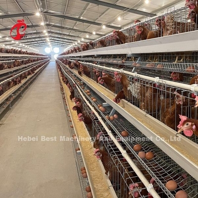 Acier à faible teneur en carbone galvanisé à chaud de résilience de couche de système élevé de cage en Afrique Adela