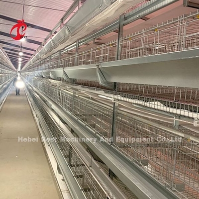Système de cage de volaille galvanisée à chaud Couche blanche Ferme de l'oiseau Adela