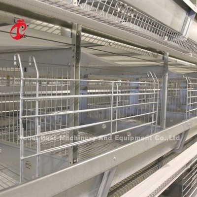 Poulet 12 cellules couche système de cage de batterie 4 niveau pour la ferme Adela