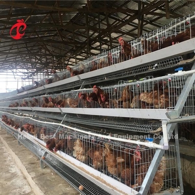 A ou type de H système de cage de batterie de couche pour l'iris de ferme avicole de 1000 à 20000 oiseaux