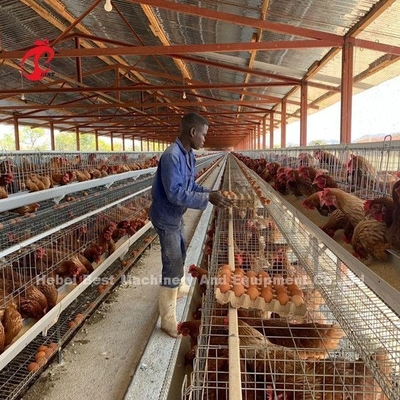 Rassemblez facilement le poulet de 2.4mm que la cage de batterie a galvanisé un cadre Emily