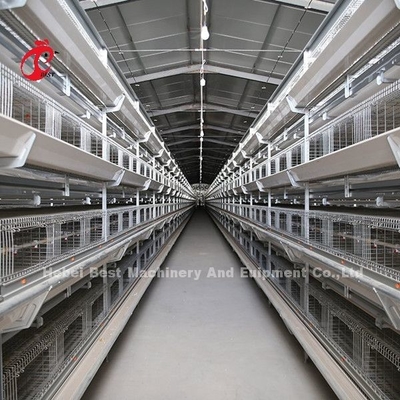 Meilleur système de cage de batterie galvanisée à trois niveaux à 96 couches pour oiseaux au Kenya