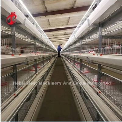 Résistance à l'oxydation galvanisée par couche de système de cage de batterie de volaille de poulet dans la ferme Mia