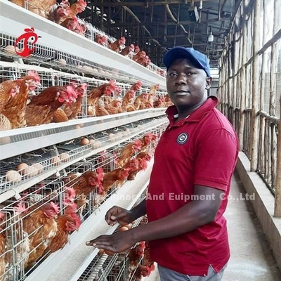 Résistance à l'oxydation galvanisée par couche de système de cage de batterie de volaille de poulet dans la ferme Mia