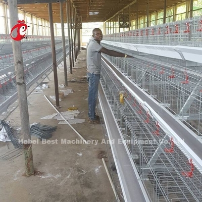 L'agriculture de couche emploient la Chambre de volaille de cage de batterie de 2 rangées l'immersion que chaude a galvanisé Sandy