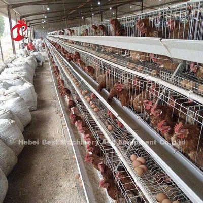 Poulet A et système automatique de cage de batterie de H pour l'élevage Sandy d'aviculture