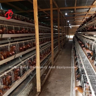 Système de cage de poule pondeuse à batterie pour volaille couche poule Ada
