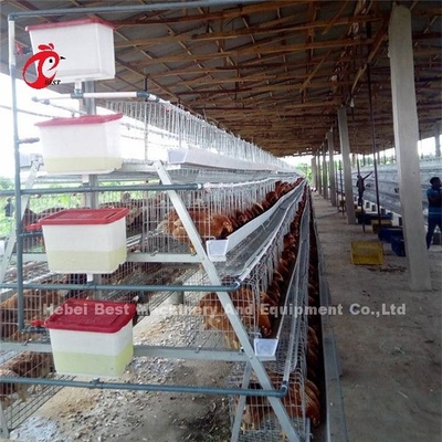 3.5mm système de cage de batterie de volaille de 3 rangées des rangées 4 20 ans de durée de vie en ADA du Nigéria