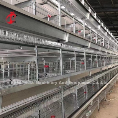 96 poules automatiques d'oeufs de grilleur de système de cage de batterie de volaille d'oiseaux un type Rose