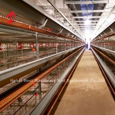 Type automatique de la collection A d'oeufs de couche cage de poulet pour la ferme avicole Rose