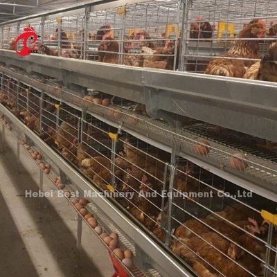 Type automatique de la collection A d'oeufs de couche cage de poulet pour la ferme avicole Rose