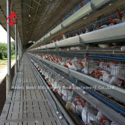 A ou type de H système de cage de batterie de couche pour l'iris de ferme avicole de 1000 à 20000 oiseaux