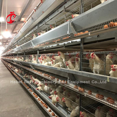 A galvanisé un type 120 système Doris multicouche de cage de batterie de couche de poulet