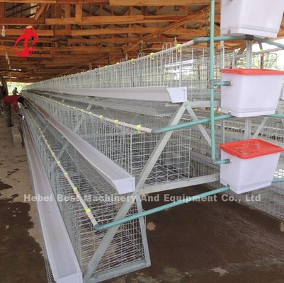 500 à 30000 oiseaux posent le système de cage de batterie pour l'étoile d'aviculture