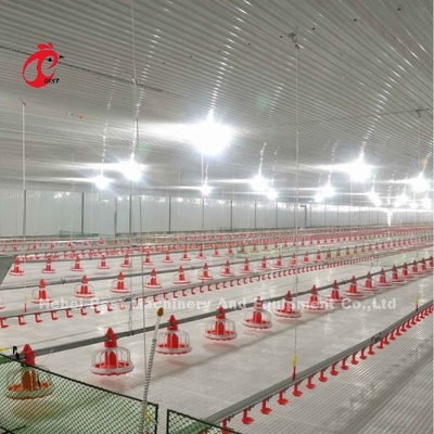 Type de plancher en acier inoxydable Équipement d'élevage de volailles Système d'alimentation et de boisson automatique Adela