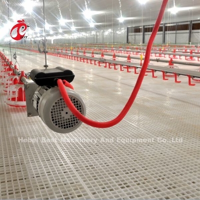 Type de plancher en acier inoxydable Équipement d'élevage de volailles Système d'alimentation et de boisson automatique Adela