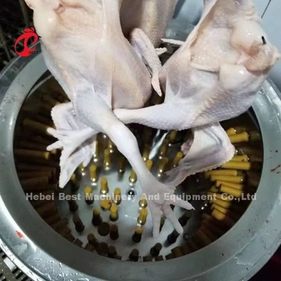 Plume de poulet de l'abattoir 1100w de ferme avicole plumant la machine au Nigéria Doris
