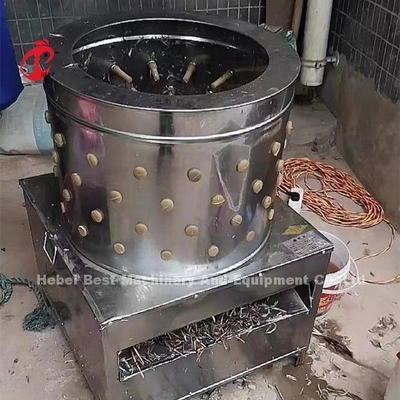 Plume de poulet de l'abattoir 1100w de ferme avicole plumant la machine au Nigéria Doris