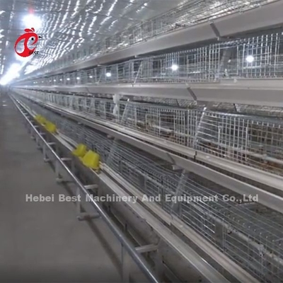 La cage galvanisée de poulet de couveuse de 120 capacités élevant les poussins d'un jour de couche irisent