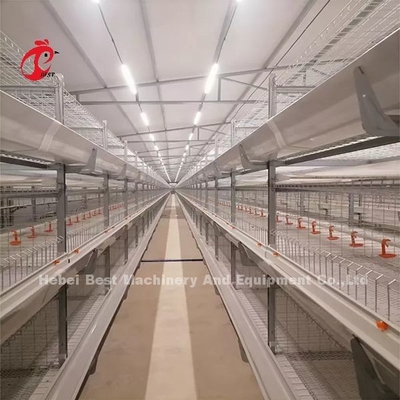 Une cage de poulet de poulet et une ferme de volaille