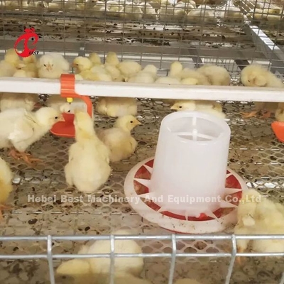 Une cage de poulet de poulet et une ferme de volaille