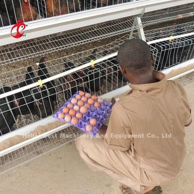 Système de cage de batterie de 1 couche 2.8mm pour des couches en étoile de l'Afrique