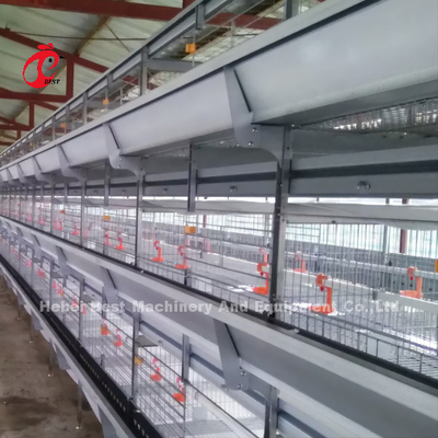 Poulet automatique de cage de volaille de couche cultivant les solutions complètes Rose de Chambre préfabriquée