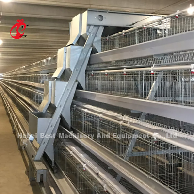 Poulet automatique de cage de volaille de couche cultivant les solutions complètes Rose de Chambre préfabriquée