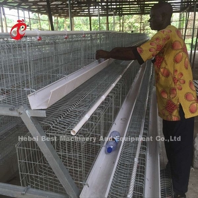 Système de luxe 5 Doris galvanisé par cellules de cage de batterie de volaille de 120 oiseaux