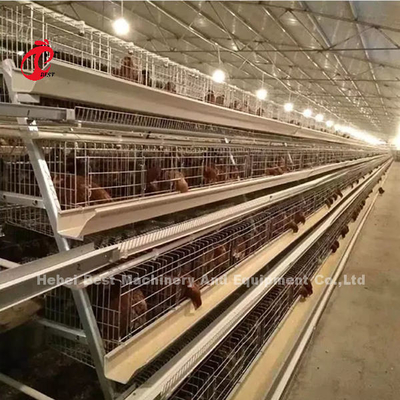 Système complètement automatique de cage de batterie de 4 rangées 160 capacités pour la ferme avicole Doris de poulet