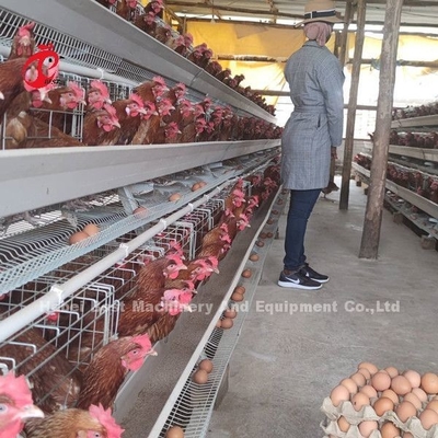 5 rangées 200 oiseaux ont galvanisé le système de cage de couche de volaille pour le poulailler Sandy