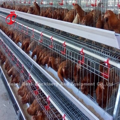 Système de cage automatique à batterie de poulet de type H de 450 cm2 avec alimentateur Adela