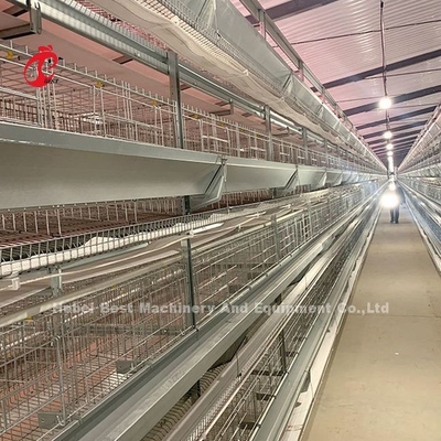 Cage à batterie en acier inoxydable pour poulet 432cm2