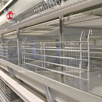 2Système de cage à batterie à couche de 0,2 m pour 120 à 200 poulets Adela