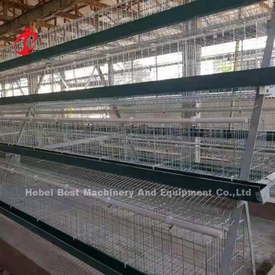 Système galvanisé de cage d'élevage de poulet de type A 20 ans de durée de vie Doris