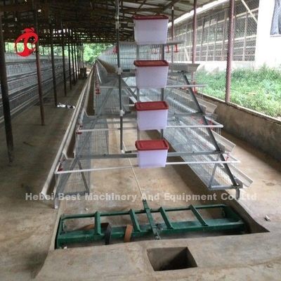 2Système de cage à batterie à couche de 0,2 m pour 120 à 200 poulets Adela