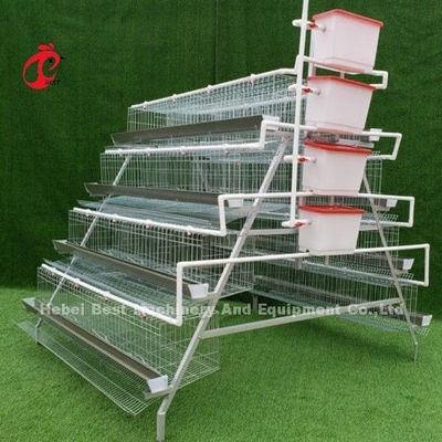 Meilleur vendeur A Type 4 niveaux chaud galvanisé automatique poulet piles cages à vendre Adela