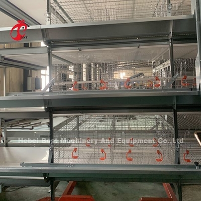 2Système de cage à batterie à couche de 0,2 m pour 120 à 200 poulets Adela