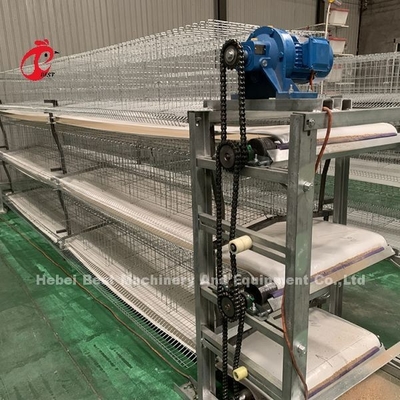 Poulet 12 cellules couche système de cage de batterie 4 niveau pour la ferme Adela