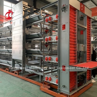 Équipement automatique de cage de poulet de type A ou H pour l'alimentation