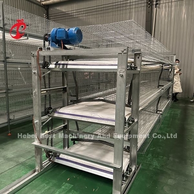 Système de cage de volaille galvanisée à chaud Couche blanche Ferme de l'oiseau Adela
